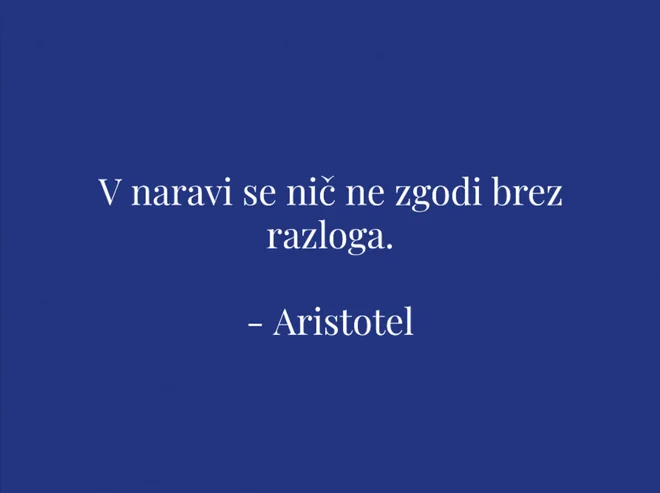 Sobotna iskrica dneva. FOTO: Delo