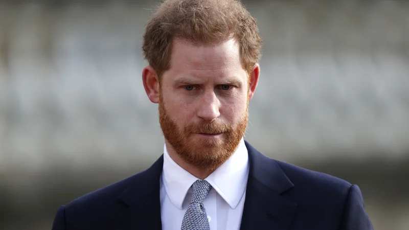 Fotografija: Lahko si predstavljam, kaj vse ste v zadnjih dneh slišali ali prebrali o tej temi, je dejal Harry. FOTO: Adrian Dennis/AFP