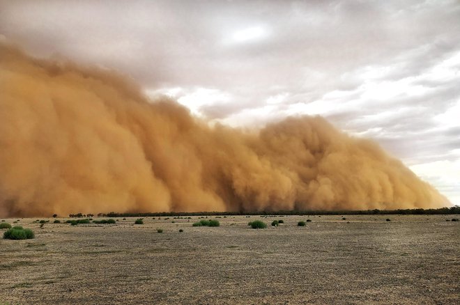 Na območjih, ki so ostala suha, se pojavljajo ogromni oblaki prahu. FOTO: Handout AFP