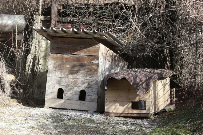 Lokacija s hišicama na Spodnjem Plavžu, kamor zavetišče vrača mačke z območja občine Jesenice, ki naj ne bi bile primerne za domače živali. FOTO: Tomi Lombar