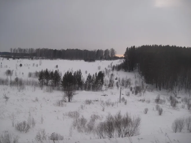 Neskončna tajga ob transsibirski železnici FOTO: Alen Steržaj