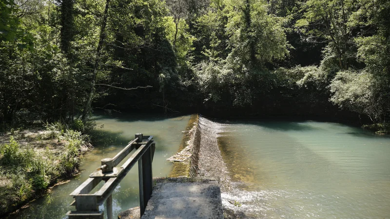 Fotografija: Kerozin ni prišel do izvira Rižane in zajetja, voda je varna. FOTO: Uroš Hočevar/Delo