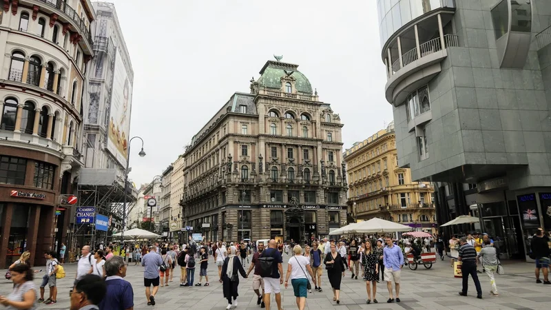 Fotografija: Zaradi številnih sprehajalnih poti in parkov se ima Dunaj za psom prijazno mesto. FOTO: Jaroslav Jankovič