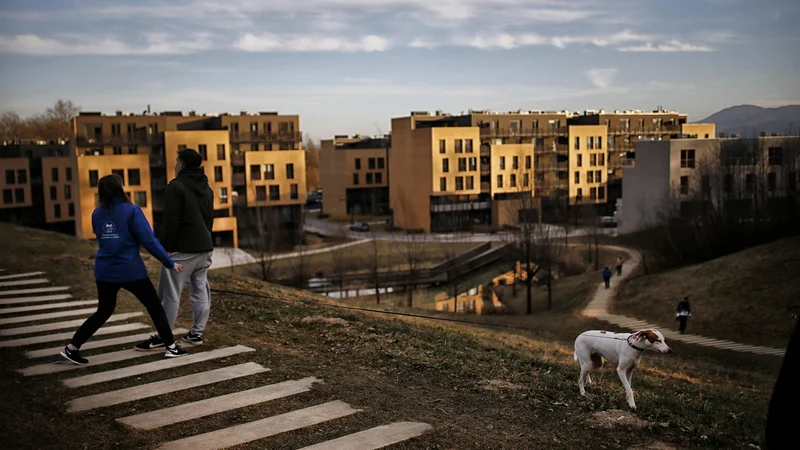 Fotografija: Okoli 6000 ljudi v Ljubljani lani ni poravnalo položnic, skupno gre za skoraj 1,5 milijona evrov dolgov do javnih podjetij. FOTO: Blaž Samec/Delo