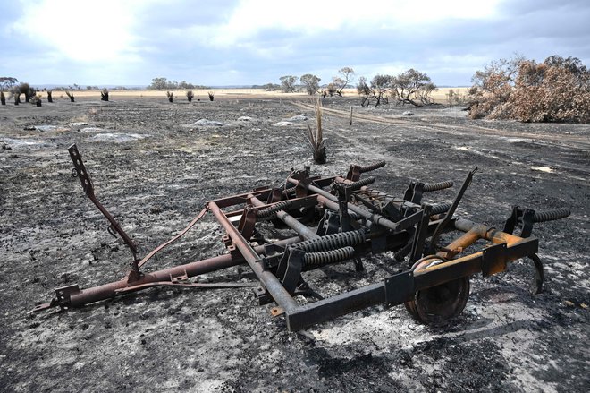 Velik del Avstralije in otokov je spremenjen v pogorišče, kar je uničujoče za domače in divje živali. FOTO: Peter Parks/AFP