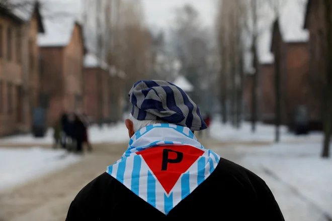 Eden izmed preživelih taboriščnikov, ki so ob lanski 74. obletnici obiskali območje nekdanje tovarne smrti v Auschwitzu. FOTO: Reuters