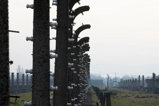 Auschwitz-Birkenau je bilo nemško uničevalno taborišče. FOTO: Axel Schmidt/Reuters