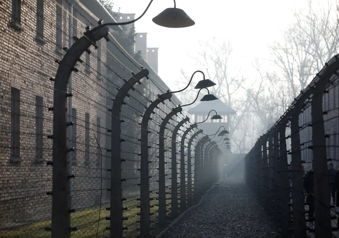 Od glavnega vhoda do mednarodnega spomenika v nacističnem koncentracijskem taborišču Auschwitz-Birkenau je manj kot kilometer poti. FOTO: Kacper Pempel/Reuters