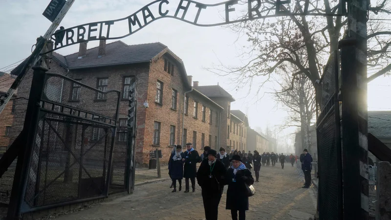 Fotografija: Preživeli so se še pred slovesnostjo sprehodili po taborišču. FOTO: Janek Skarzynski/AFP
