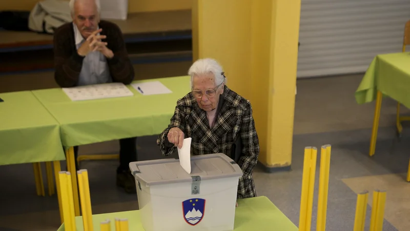 Fotografija: O spremembi volilnega sistema se sme odločiti samo ljudstvo na referendumu, in ne politični veljaki, ki so predstavniki ne omembe vredne manjšine državljanov. Foto Jože Suhadolnik