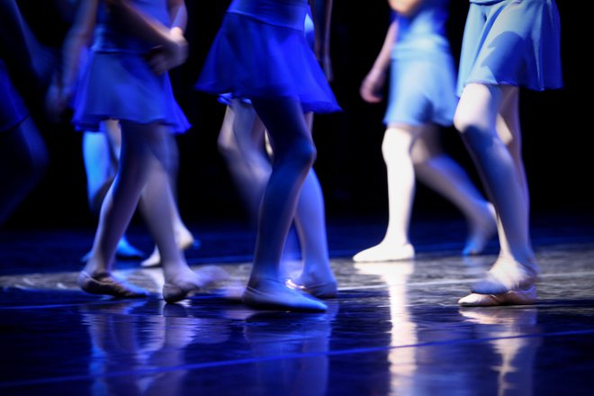 Avtor je zastavil besedo za to, da bi bilo treba Višjo šolo za baletne plesalce čim prej vrniti v prvotno stanje, da bi učitelji baleta lahko dobili ustrezno strokovno in pedagoško znanje. FOTO: Jure Eržen