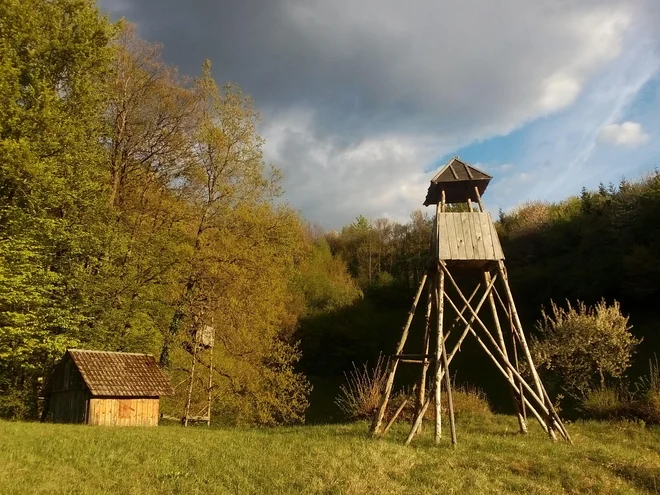 Slovenski lovci opravijo na leto približno en milijon ur obveznega in neplačanega dela za ohranjanje narave, varstva in krmljenja divjadi ter za preprečevanje škod. Fotodokumentacija Dela