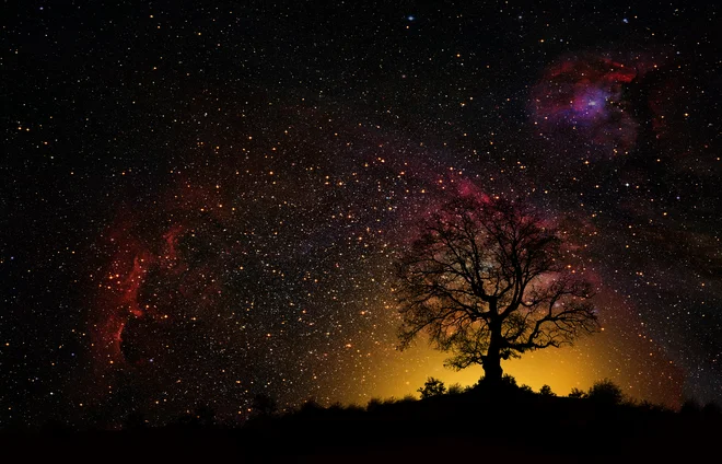 Samo ona ima moč, da spremeni moje dneve v noči ... FOTO: Shutterstock