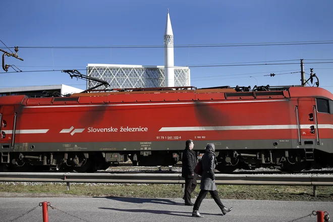 Številni verniki so prišli do muslimanskega verskega centra iz smeri Tivolija in preko gorenjske proge. FOTO: Blaž Samec/Delo