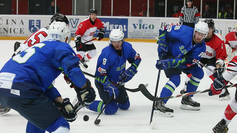 Fotografija: Slovenski hokejisti so z odliko izkoristili prednost domačega ledu na turnirju predkvalifikacij za uvrstitev na zimske olimpijske igre leta 2022 v Pekingu. FOTO: Jože Suhadolnik/Delo