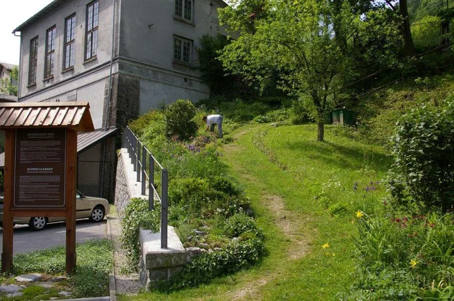 »Ko sem prišla v Idrijo, je bil park del narave, čeprav so v njem rasle negovane jablane. Danes ni ostalo nič več. Ni več prvinskosti. Povsod se pozna naša prisotnost,« ugotavlja Marija Bavdaž. FOTO: Arhiv Muzejskega društva