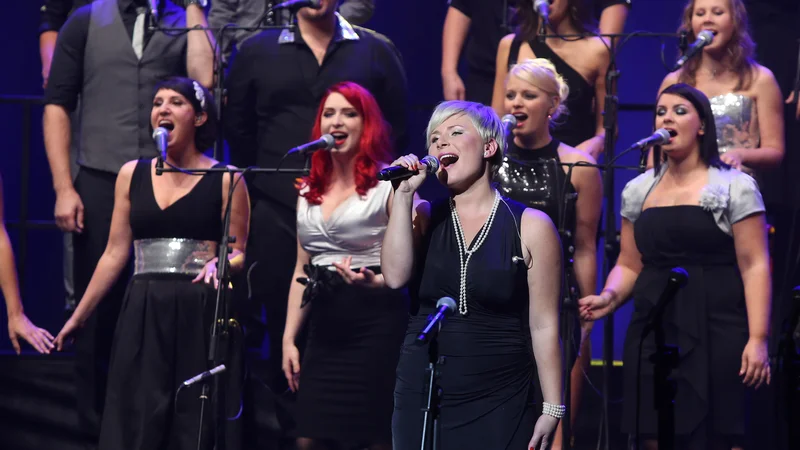Fotografija: Na zadnjem nedeljskem koncertu bo nastopil tudi Perpetuum Jazzile. FOTO: Igor Zaplatil