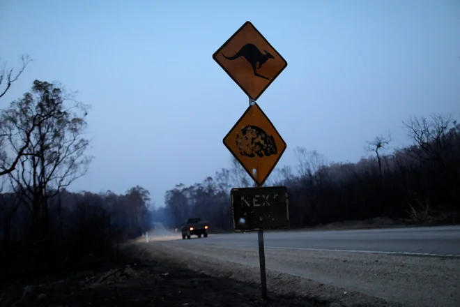 Najbolj prizadeta pokrajina od požarov je Novi Južni Wales. FOTO: Andrew Kelly/Reuters