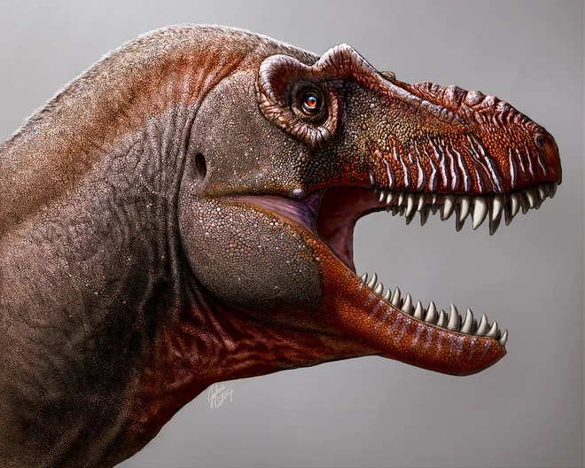 <em>Thanatotheristes degrootorum </em>FOTO: Julius Csotonyi/The University of Calgary and Royal Tyrrell Museum/AFP