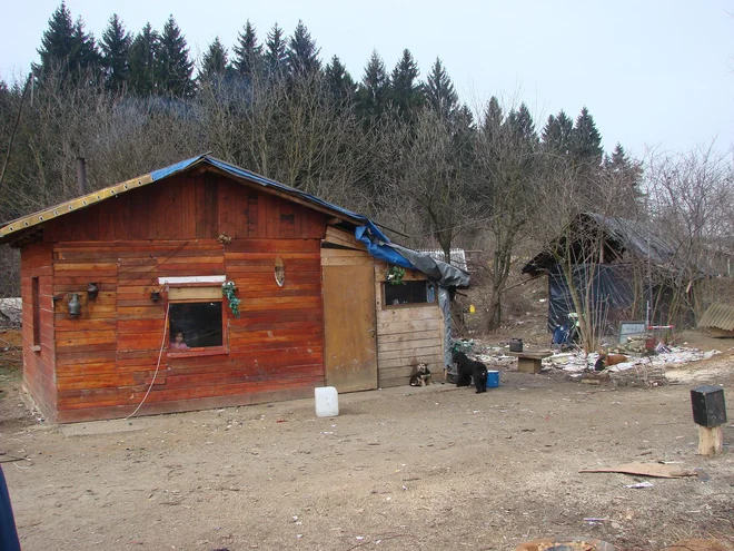 Del romskega naselja Žabjak. FOTO: Bojan Rajšek/Delo