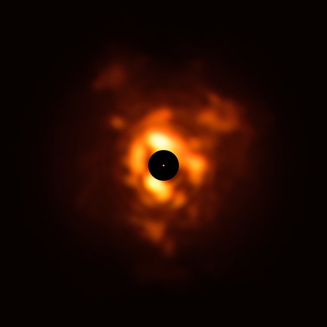 Z instrumentom VISIR so posneli zvezdo v infrardeči svetlobi. Oblaki prahu so videti kot plameni. Oblikujejo se, ko zvezda odmetava material v vesolje. Zaradi svetlosti morajo s črnim diskom prekriti zvezdo, da lahko v infrardečem spektru tudi manj svetle oblake prahu. Oranžna pika na sredini črnega diska je površje zvezde, posneto z instrumentom SPHERE. Čeprav je videti kot pikica, je zvezda v resnici tako velika, da bi v našem osončju segala do Jupitrove orbite. Orjakinja ima več kot tisočkrat večji premer od našega Sonca – 1,2 milijarde kilometrov. FOTO: ESO/P. Kervella/M. Montargès et