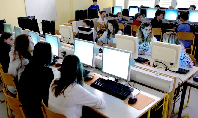 V osnovnih šolah je le malo pouka računalništva in informatike, še to le kot izbirni predmet. FOTO Roman Šipić