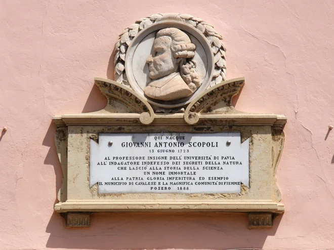 Giovanni Antonio Scopoli bo osrednja letošnja rdeča nit Kulturnega maratona. FOTO: Wikipedija