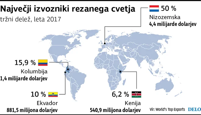 Največji izvozniki cvetja