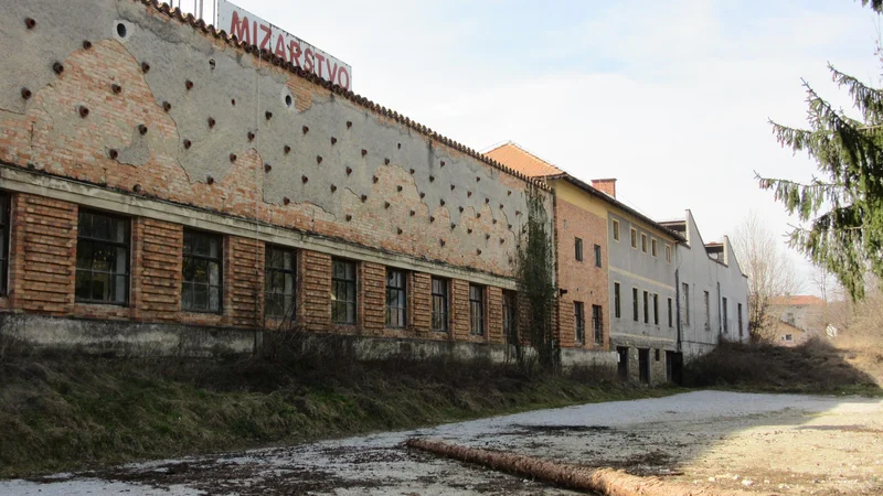 Fotografija: V neposredni bližini nekdanjega mizarstva bo stal stolp. Tu pa naj bi stal orglarski center. Če bo stolp stal prej oziroma bi gradnja orglarskega centra zamujala, bodo imeli turisti razgled na propadajoče objekte. FOTO: Špela Kuralt/Delo