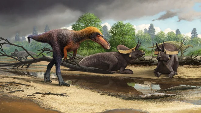 Umetniška upodobitev dinozavra <em>Suskityrannus hazelae</em>. FOTO: Andrey Atuchin/Virginia Tech