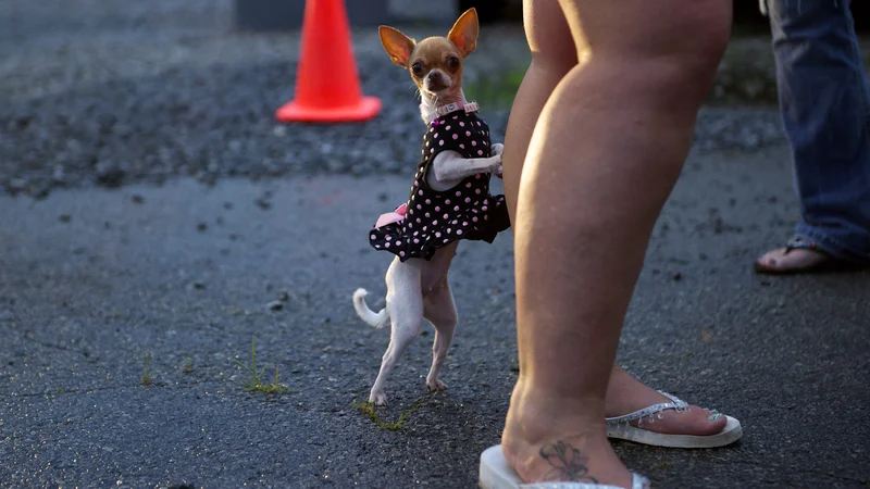 FOTO: Reuters