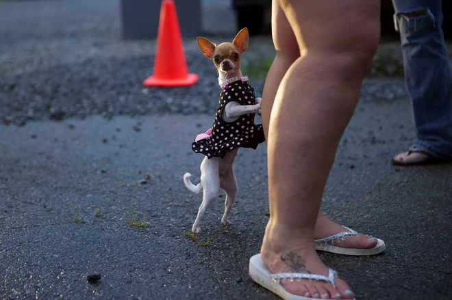 FOTO: Reuters