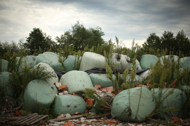 Iz Ekosistemov bo ožgane odpadke odpeljal Kostak. FOTO: Jure Eržen/Delo