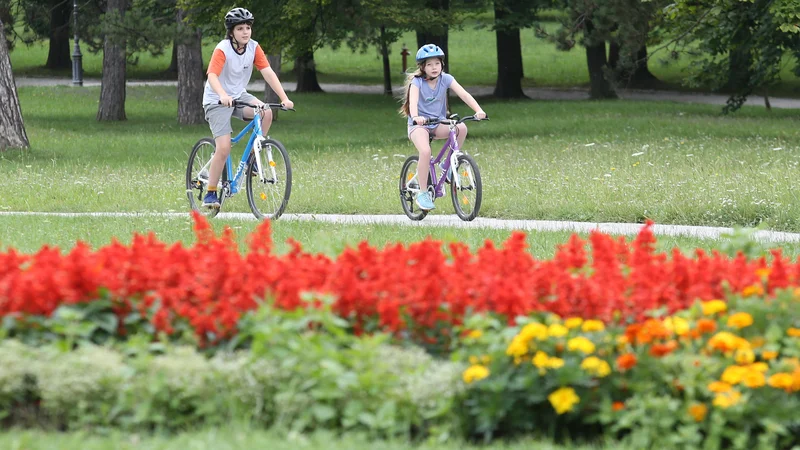 Fotografija: Krajinski park na dan povprečno obišče okoli 5500 obiskovalcev. FOTO Tomi Lombar/Delo