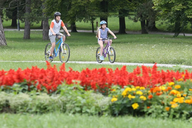Krajinski park na dan povprečno obišče okoli 5500 obiskovalcev. FOTO Tomi Lombar/Delo