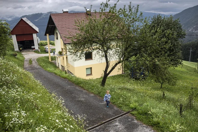 Kmetje trdijo, da imajo indice, da so bili volkovi pripeljani v gozd pod Ratitovcem. FOTO: Voranc Vogel