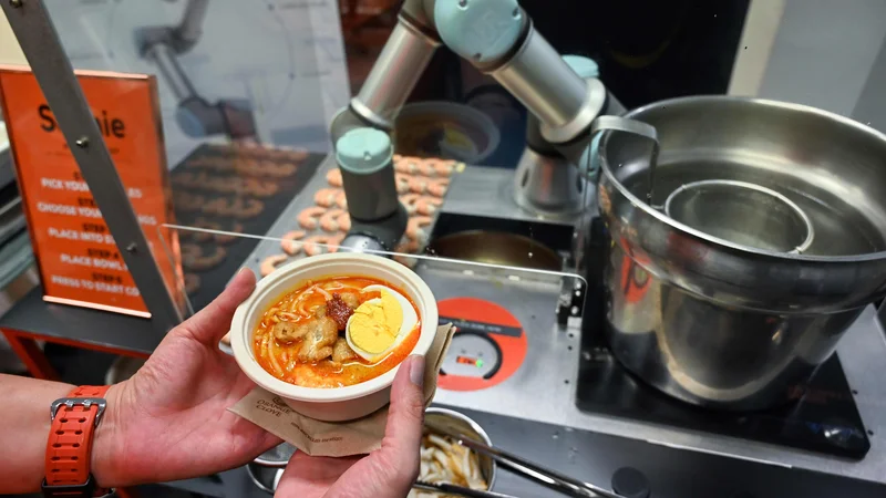 Fotografija: Po novem bodo t. i. laksa postaje oziroma gostinski obrati, ki pripravljajo lakso pred gosti in so za to doslej potrebovali dva kuharja, ob Sophie potrebovali le še enega. FOTO: AFP
