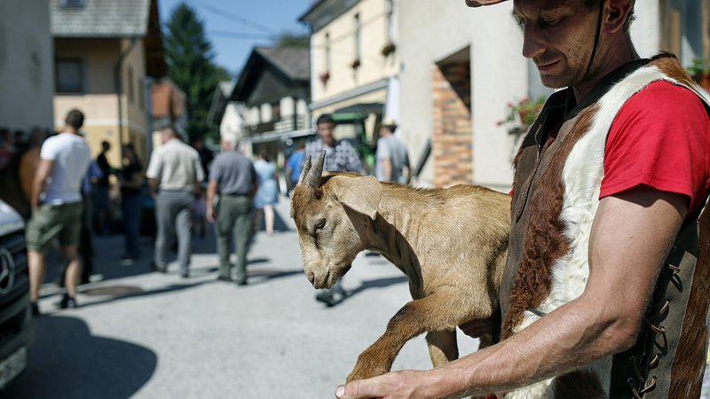 Fotografija: Varuhi narave« so na protestih oblečeni v živalsko krzno in vzklikajo, da Slovenija ne bo zverinjak. FOTO: Blaž Samec
