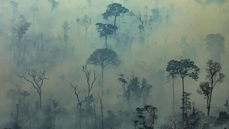 Fotografija: FOTO: Victor Moriyama/AFP