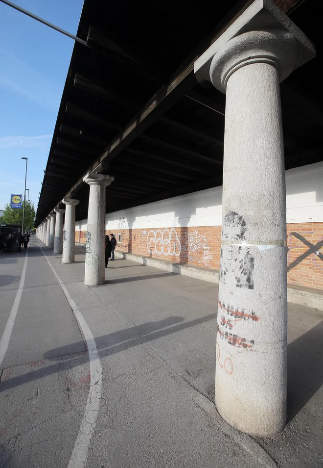 Alenka Bizjak: Stadion je dolžna obnoviti država kot svoj dragoceni zaščiteni kulturni spomenik. Foto Jože Suhadolnik