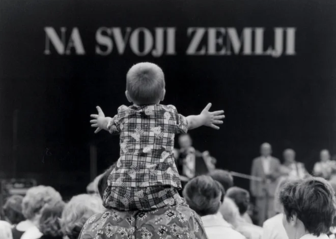 Tretje desetletje bo pripadlo tistemu politiku, ki bo znal nezadovoljne množice nagovoriti z ukrepi, ki bodo ohranjali pridobljene človekove pravice, dajali ljudem svobodo pri ustvarjanju in načinu življenja, ter bo hkrati začel učinkovito reševati pereča ekonomska vprašanja sodobne socialne države in solidarne družbe. FOTO: Jure Eržen/Delo