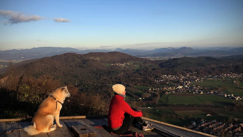 Fotografija: »Egocentrizem z neomejeno strastjo« vodi v odtujenost med ljudmi in samoodtujenost, v (družbeno) shizofrenijo. FOTO: Jure Eržen/Delo