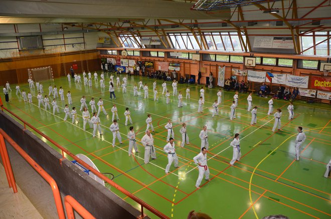 Skupinska vadba taekwondoja. FOTO: Tomaž Zakrajšek