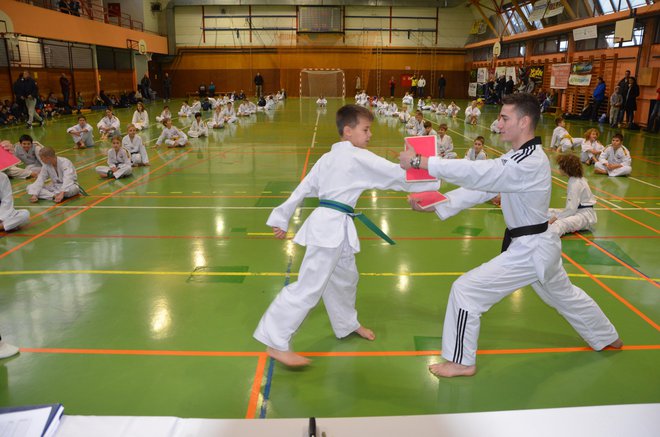 Taekwondo pozna udarce z nogo in roko (na fotografiji med preizkusom moči). FOTO: Tomaž Zakrajšek