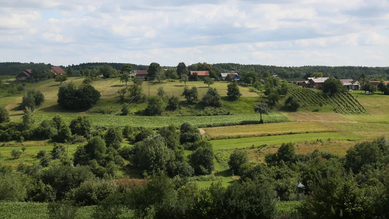 Fotografija: Mozaična kmetijska krajina, ki zagotavlja bivališča in gnezdišča številnim vrstam, izginja. FOTO: Damijan Denac