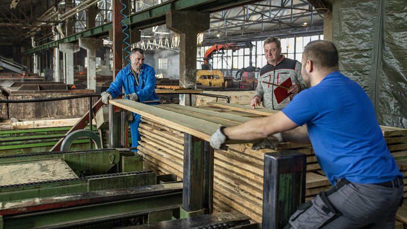 Fotografija: Slovenska lesna industrija povečuje prihodke, dobiček in dodano vrednost. Težava so naraščajoči stroški dela. Foto Voranc Vogel