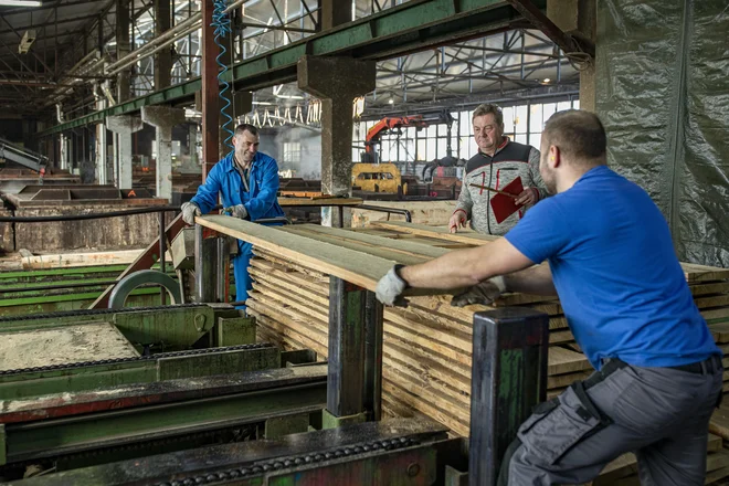 Slovenska lesna industrija povečuje prihodke, dobiček in dodano vrednost. Težava so naraščajoči stroški dela. Foto Voranc Vogel