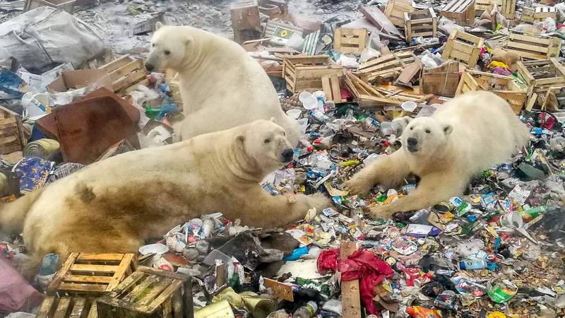 Fotografija: Poročilo je podalo najcelovitejši znanstveni pogled na povezavo med zemljo, na kateri živimo, in globalnim segrevanjem.
FOTO: AFP