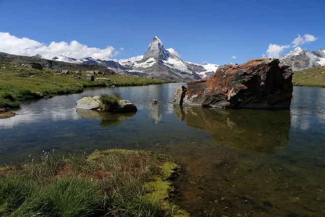 Reke v Švici vsebujejo ostanke pesticidov, v jezerih se razraščajo alge in vodne rastline zaradi čezmernega gnojenja zemljišč. FOTO: Reuters