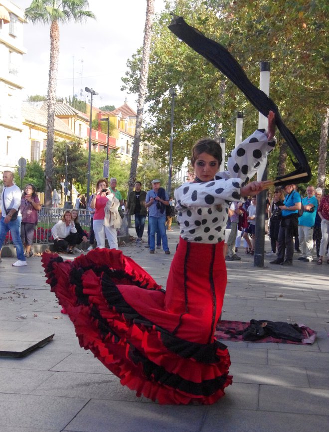 Ulice živijo s flamenkom. FOTO: Miomira Šegina